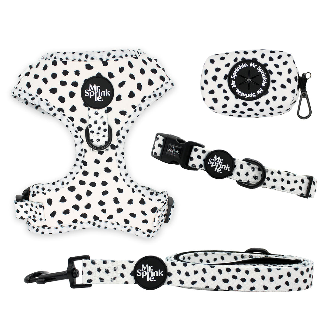 Polka Pup Bundle - Black / White